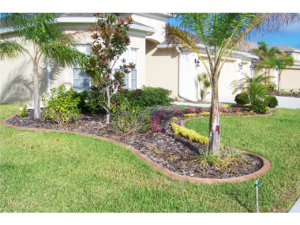 Another shot of a large yard with great curb appeal